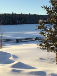 Our 48 acre off grid homestead