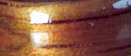 Koa