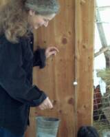 nicola feeding the chickens