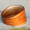 Pacific Yew ~ in Celtic mythology Yew is The Tree of Life, Immortality, Rebirth, Protection, Longevity, Change, Divinity and Strength and it's very pretty too.